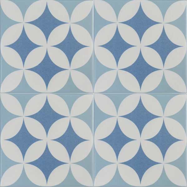 DC209 gạch bông đồng tiền